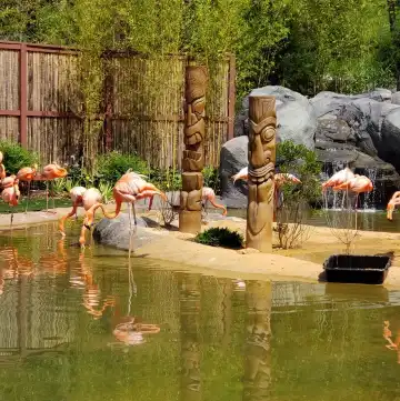 ウェスト・オレンジのホテル