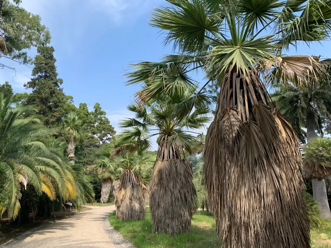 Hotel in zona Thuret Garden (Jardin Thuret )
