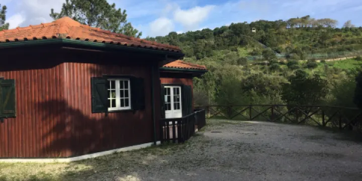 Centro De Recuperacao Do Lobo Iberico
