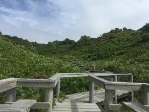 Menemsha Hills