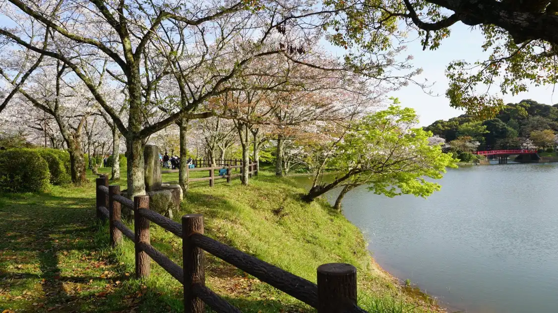 Hotels near Amagi Park