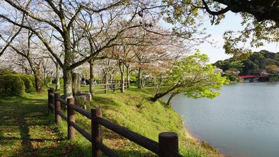 Amagi Park