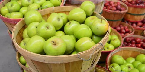 Carver Orchards & Farm Market