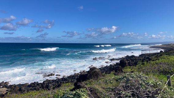 Kaʻena Point State Park