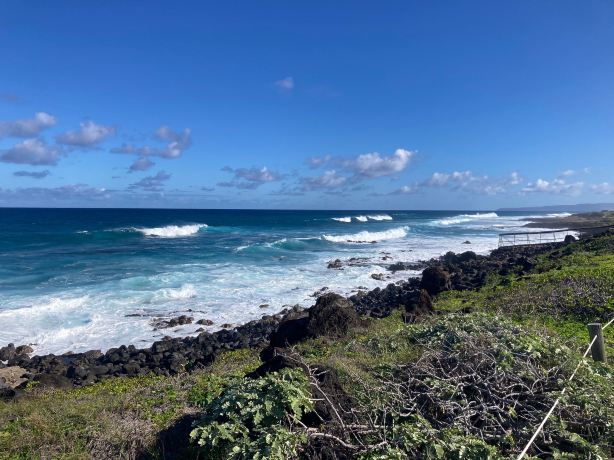 Kaʻena Point State Park