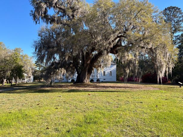 Hampton Plantation State Historic Site