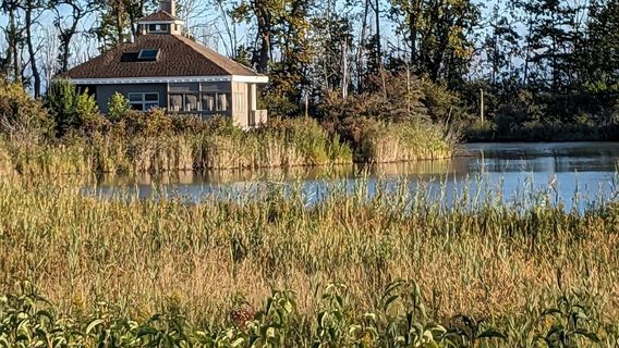 Maumee Bay State Park