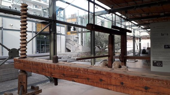 Museum of the Olive and Greek Olive Oil