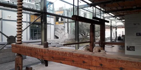 Museum of the Olive and Greek Olive Oil