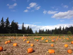 Fir Point Farms