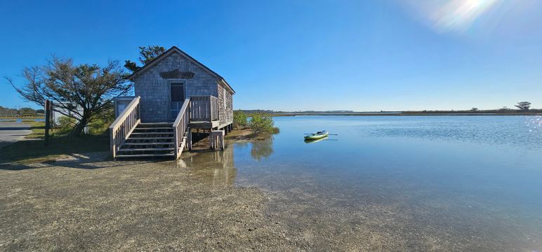 Assateague Beach