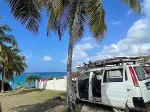 Bodie's School of Surf Barbados