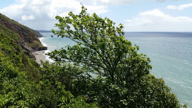 Downderry Beach