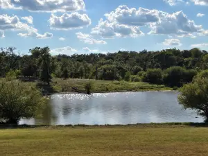 Lake Somerville State Park - Nails Creek Unit