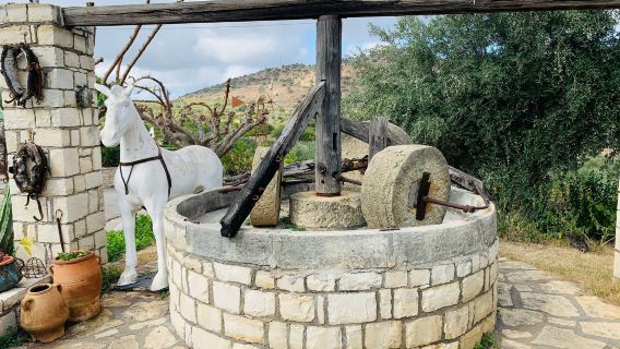 Paraschakis Olive Oil