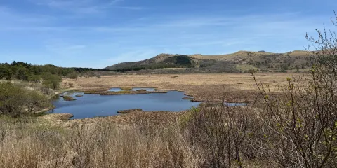 霧ヶ峰自然保護センター