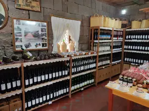 Cantina Strapazzon