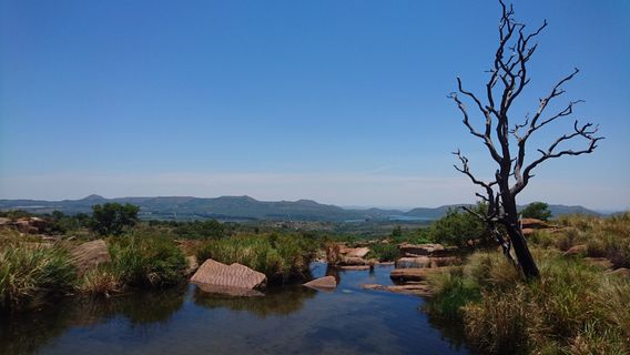 마운틴 상투아리 공원