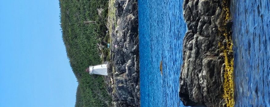 Hant's Harbour Lighthouse