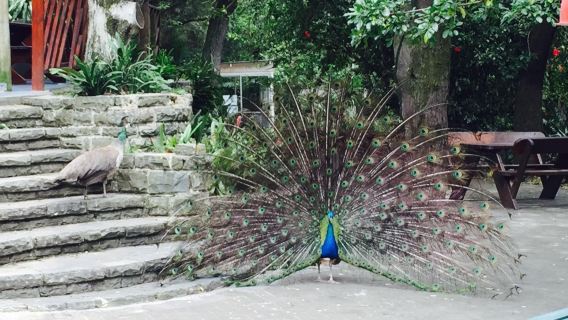 East London Zoo