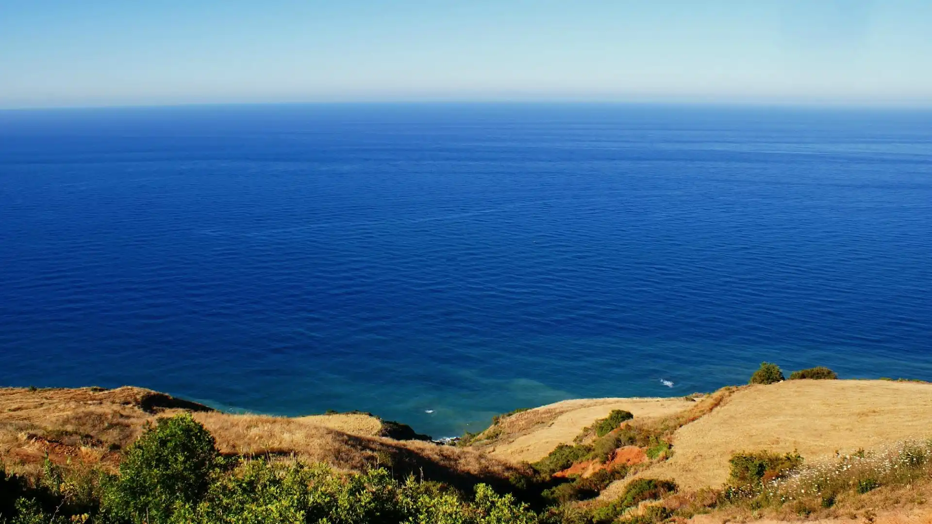 Hotels near Playa Blanca
