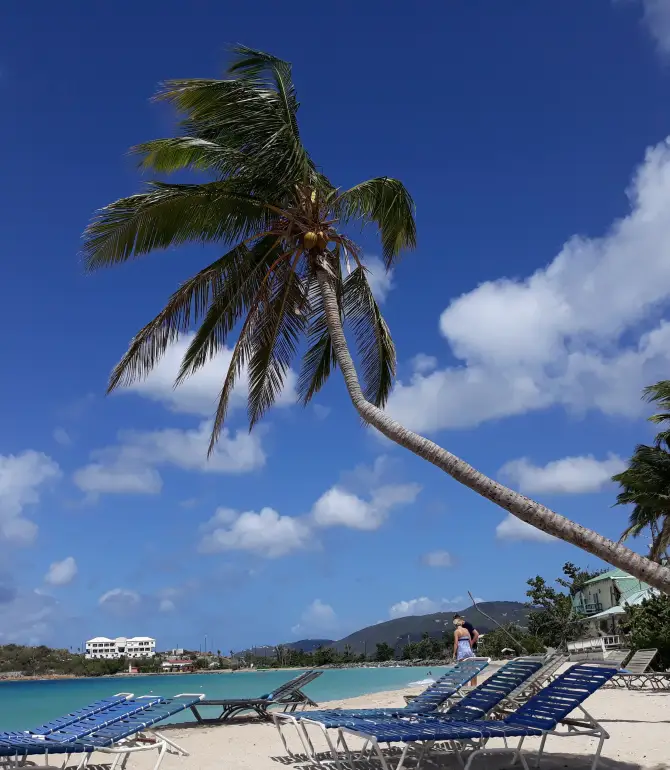 Charlotte Amalie West