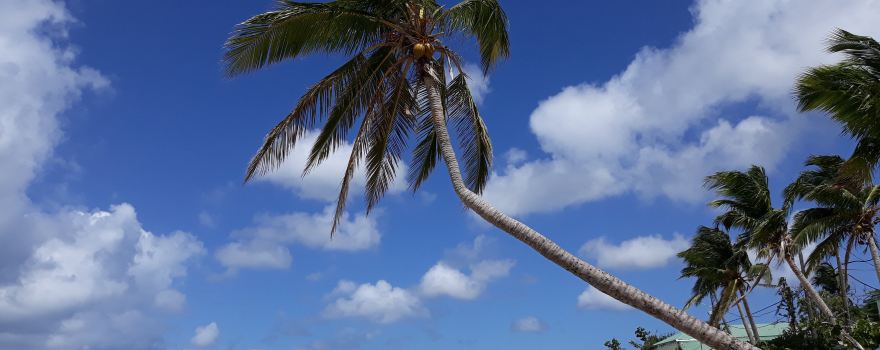 Lindbergh Bay Beach