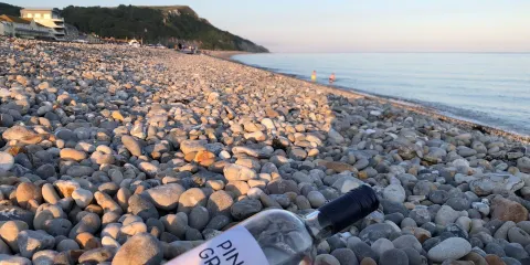 Seaton Beach and Chine