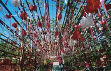 อุทยานแห่งชาติภูเรือ