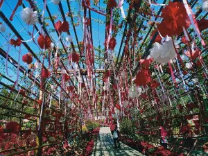 Phu Ruea National Park