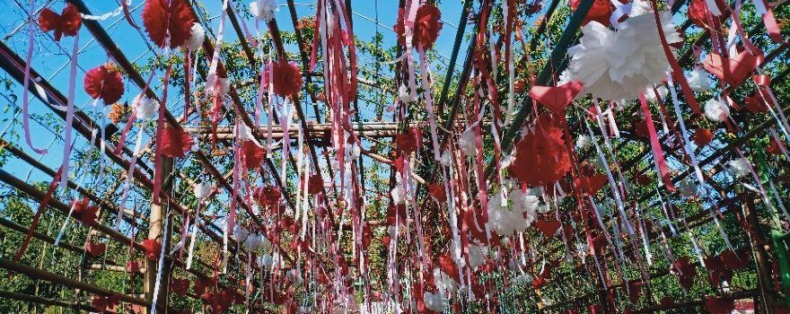 Phu Ruea National Park