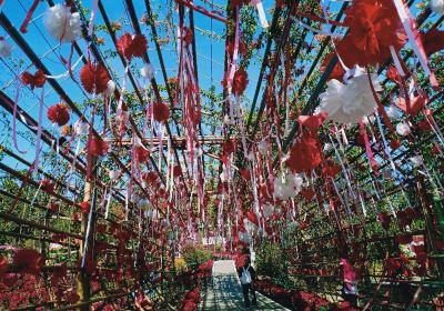 Phu Ruea National Park