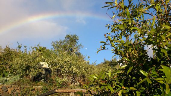 Autonome Akademie fur Permakultur AUTarcaMatricultura