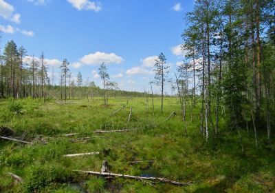 North Eastern Savonia