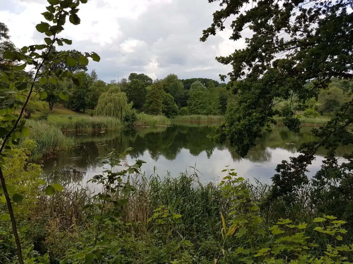 Hotels near Botanical Garden