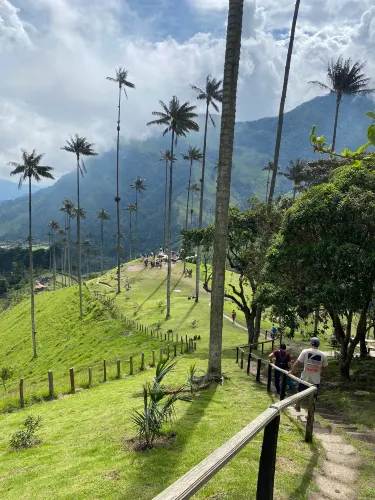 Quindio