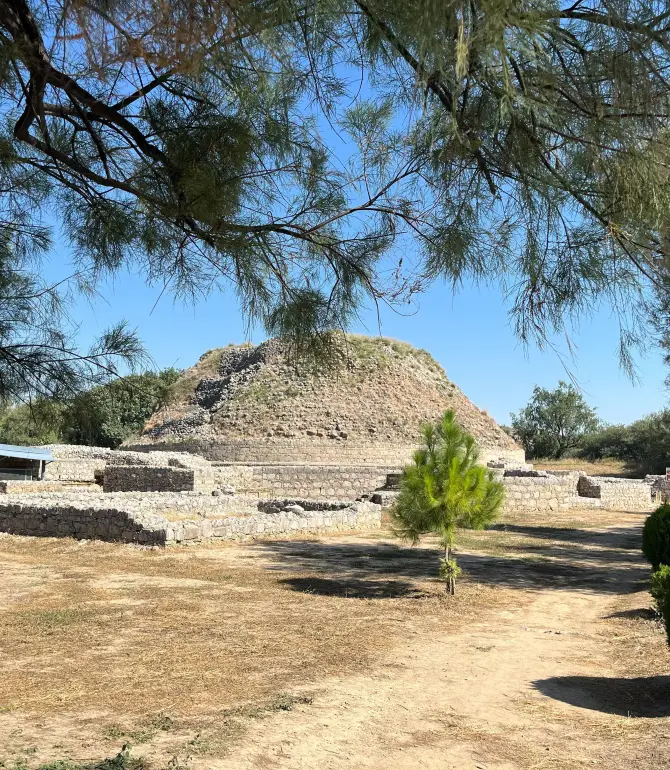 Taxila