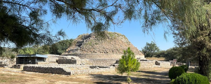 Dharmarajika Stupa And Monastery