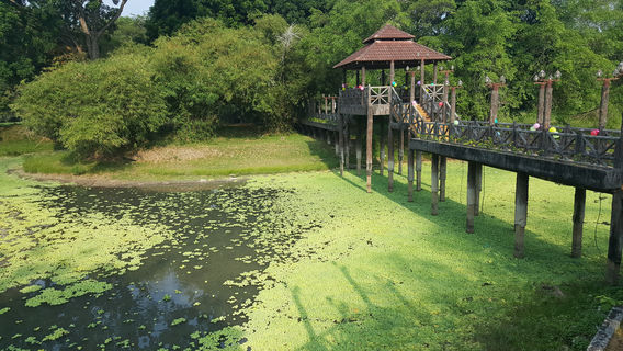 D R Seenivasagam Recreational Park