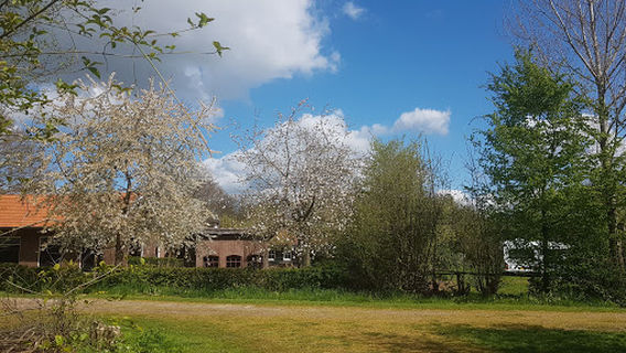 Boerencamping Remmelink