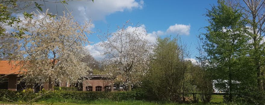 Boerencamping Remmelink