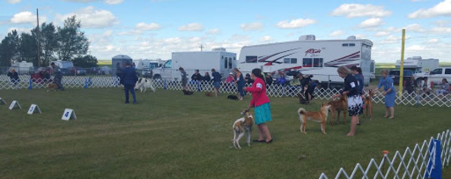 Trochu Lions Park