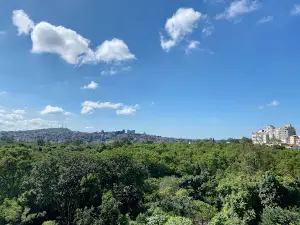 The Island Park