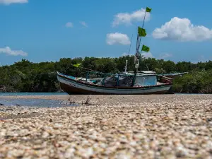 Rio Acaraú
