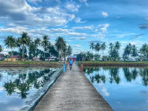 Pantai laguna