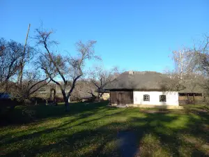 Chornukhynsʹkyy Literaturno-Memorialʹnyy Muzey H. S. Skovorody