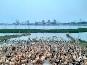 Ashuganj Chor Sonarampur