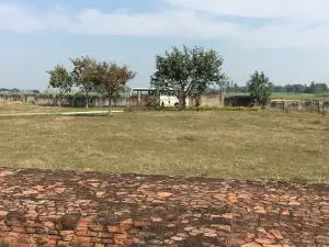 Ganwaria