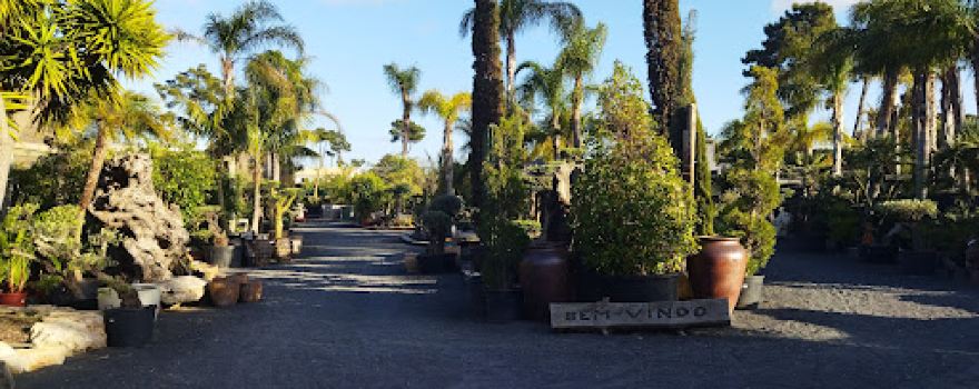 Relva Pura Garden