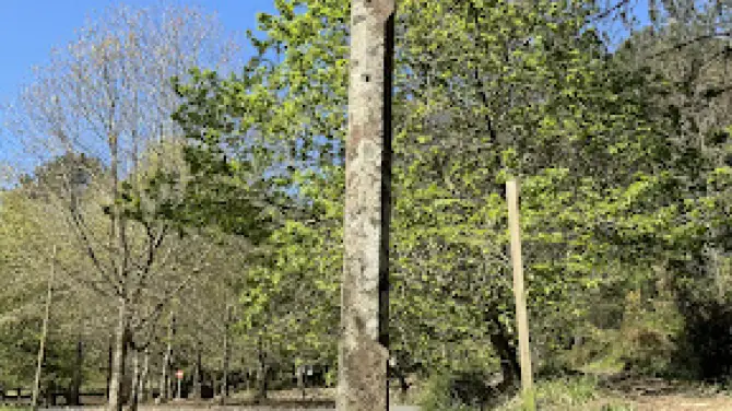 Merendero Monte Pedroso